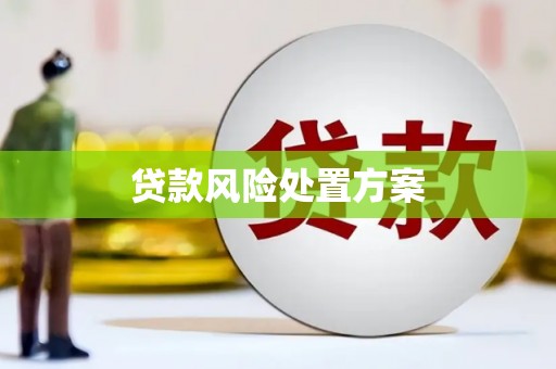 咸宁贷款风险处置方案