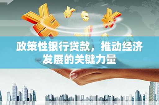 咸宁政策性银行贷款，推动经济发展的关键力量