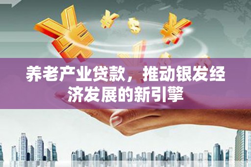 咸宁养老产业贷款，推动银发经济发展的新引擎