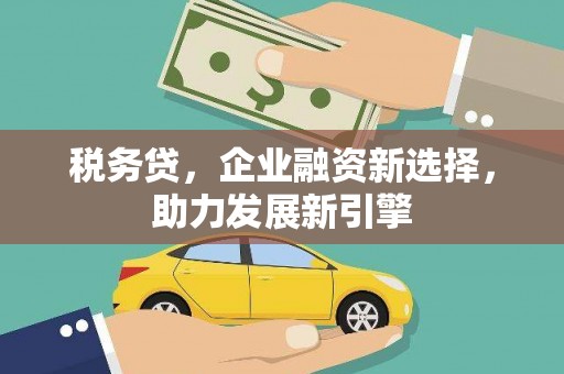 咸宁税务贷，企业融资新选择，助力发展新引擎