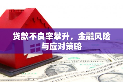 咸宁贷款不良率攀升，金融风险与应对策略