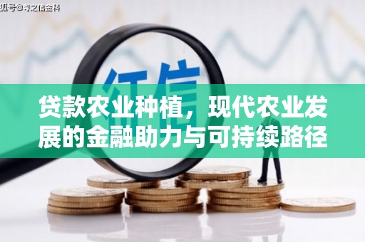 咸宁贷款农业种植，现代农业发展的金融助力与可持续路径