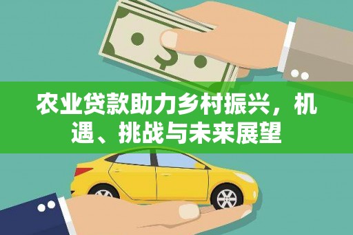 咸宁农业贷款助力乡村振兴，机遇、挑战与未来展望