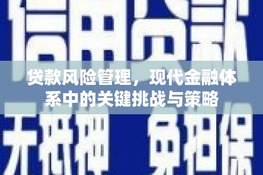咸宁贷款风险管理，现代金融体系中的关键挑战与策略