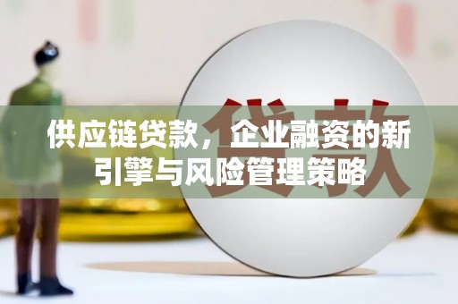 咸宁供应链贷款，企业融资的新引擎与风险管理策略