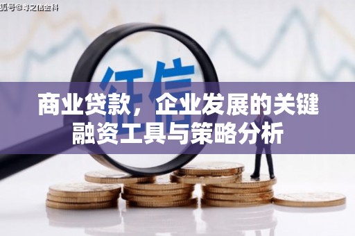 咸宁商业贷款，企业发展的关键融资工具与策略分析