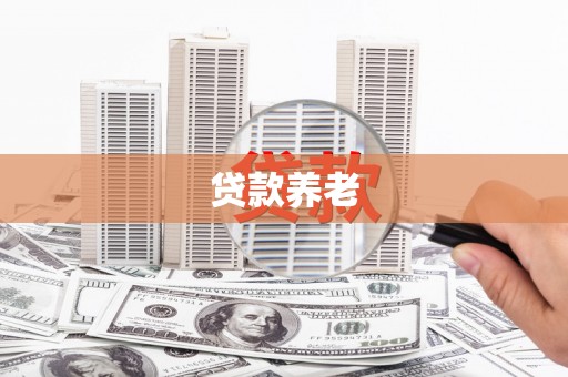 咸宁贷款养老