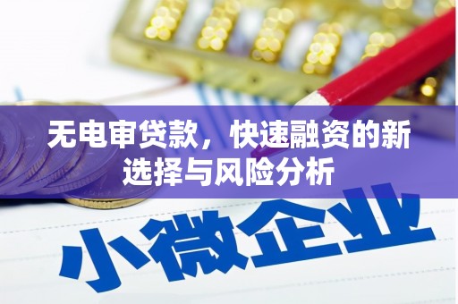咸宁无电审贷款，快速融资的新选择与风险分析