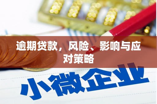 咸宁逾期贷款，风险、影响与应对策略