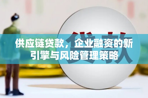 咸宁供应链贷款，企业融资的新引擎与风险管理策略