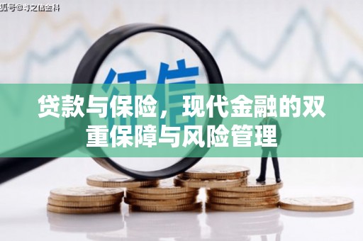 咸宁贷款与保险，现代金融的双重保障与风险管理
