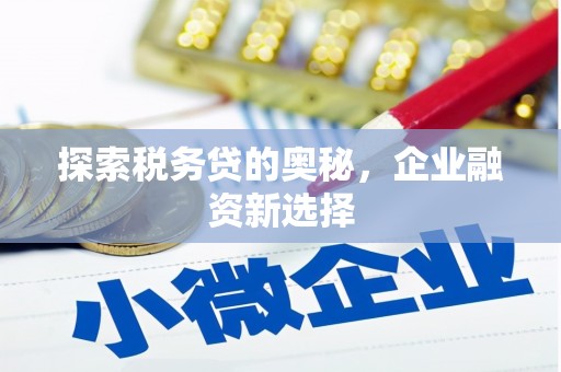 咸宁探索税务贷的奥秘，企业融资新选择