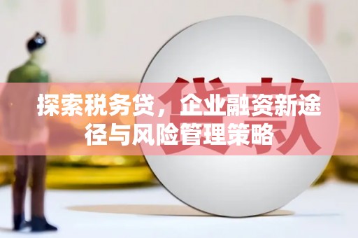 咸宁探索税务贷，企业融资新途径与风险管理策略