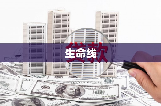 咸宁生命线