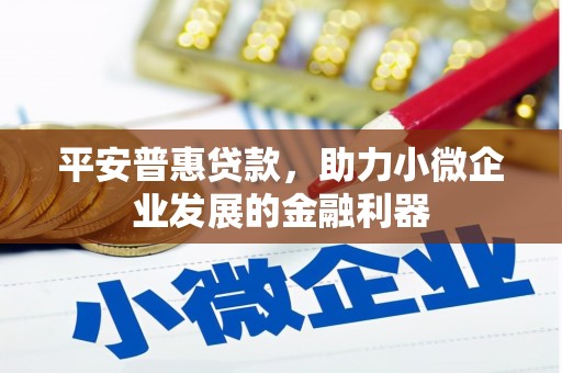 咸宁平安普惠贷款，助力小微企业发展的金融利器