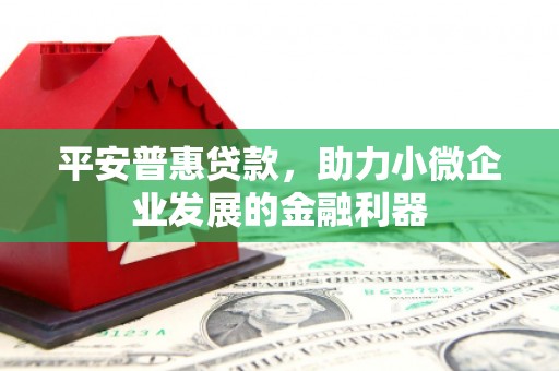 咸宁平安普惠贷款，助力小微企业发展的金融利器