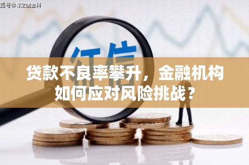 咸宁贷款不良率攀升，金融机构如何应对风险挑战？