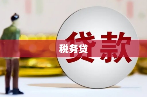 咸宁税务贷