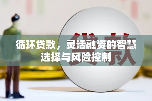 咸宁循环贷款，灵活融资的智慧选择与风险控制