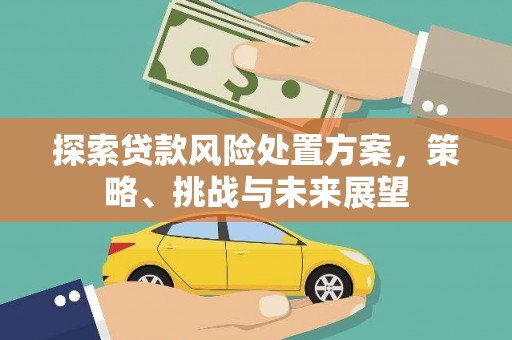 咸宁探索贷款风险处置方案，策略、挑战与未来展望