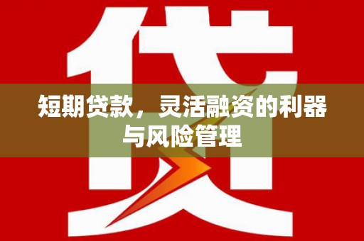 咸宁短期贷款，灵活融资的利器与风险管理