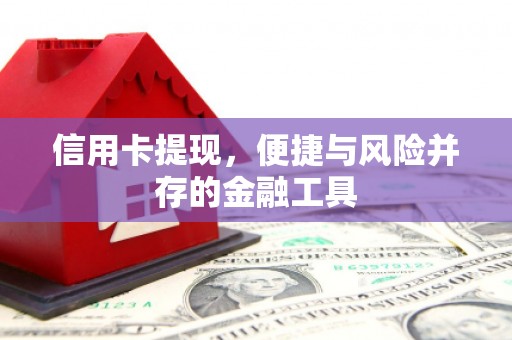 咸宁信用卡提现，便捷与风险并存的金融工具