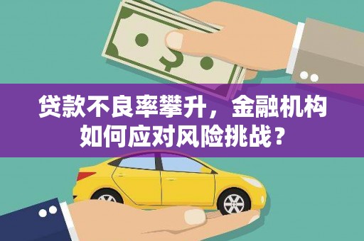 咸宁贷款不良率攀升，金融机构如何应对风险挑战？
