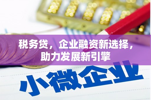 咸宁税务贷，企业融资新选择，助力发展新引擎