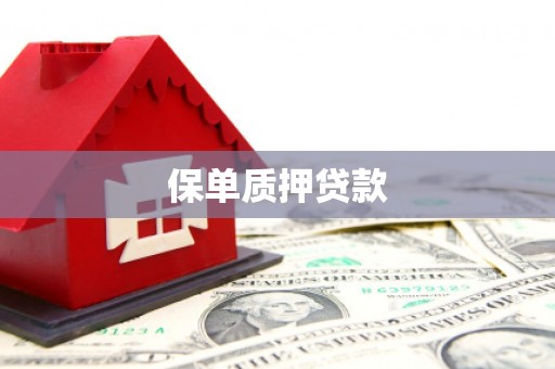 咸宁保单质押贷款
