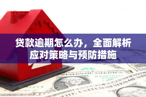 咸宁贷款逾期怎么办，全面解析应对策略与预防措施