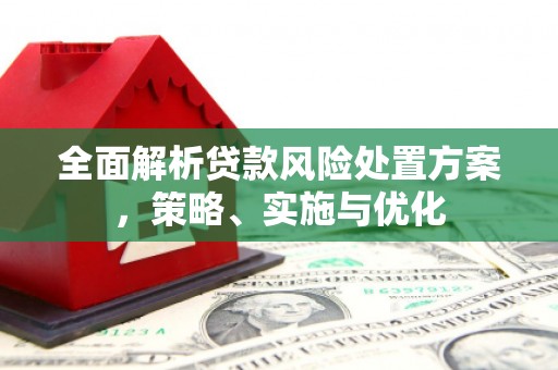 咸宁全面解析贷款风险处置方案，策略、实施与优化