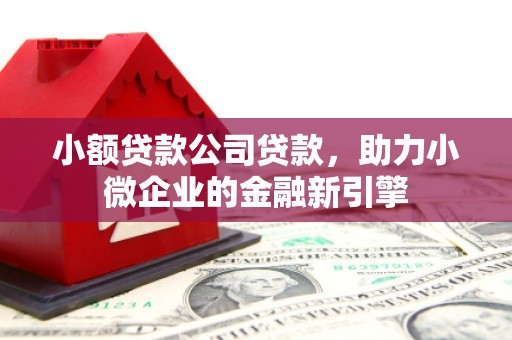 咸宁小额贷款公司贷款，助力小微企业的金融新引擎