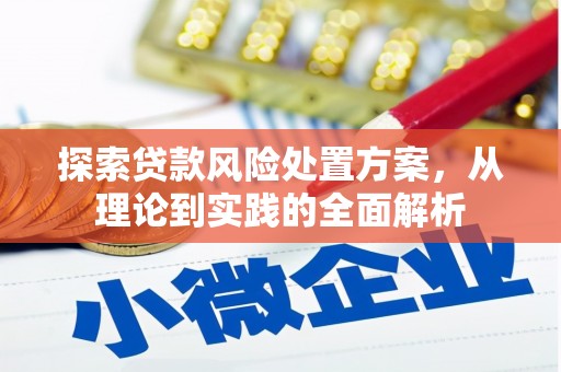咸宁探索贷款风险处置方案，从理论到实践的全面解析