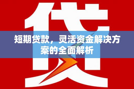 咸宁短期贷款，灵活资金解决方案的全面解析