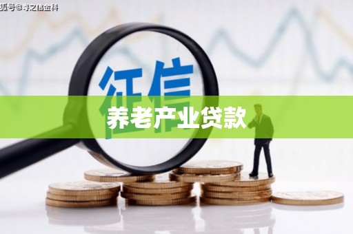 咸宁养老产业贷款