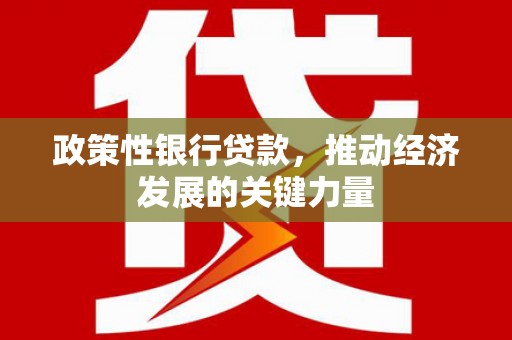 咸宁政策性银行贷款，推动经济发展的关键力量