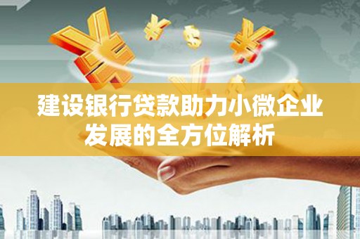 咸宁建设银行贷款助力小微企业发展的全方位解析