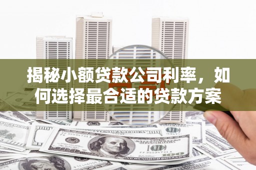 咸宁揭秘小额贷款公司利率，如何选择最合适的贷款方案