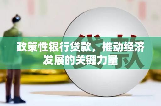 咸宁政策性银行贷款，推动经济发展的关键力量