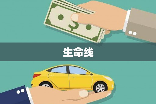 咸宁生命线