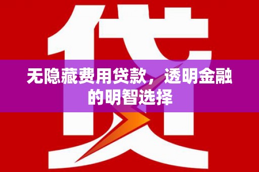 咸宁无隐藏费用贷款，透明金融的明智选择