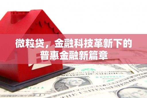 咸宁微粒贷，金融科技革新下的普惠金融新篇章