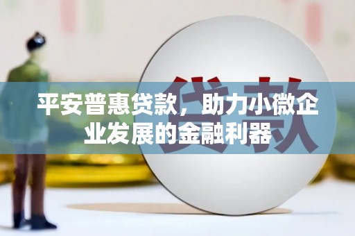 咸宁平安普惠贷款，助力小微企业发展的金融利器