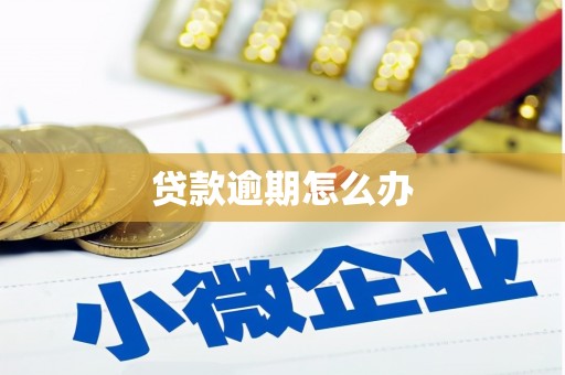 咸宁贷款逾期怎么办