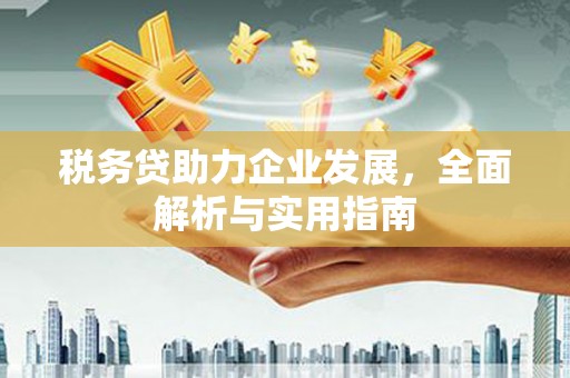 咸宁税务贷助力企业发展，全面解析与实用指南