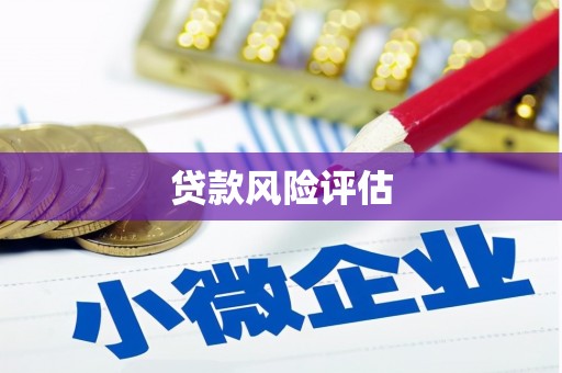 咸宁贷款风险评估
