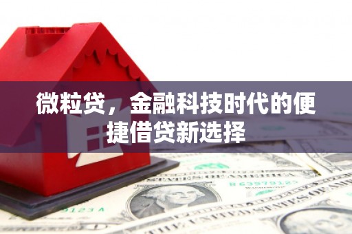 咸宁微粒贷，金融科技时代的便捷借贷新选择