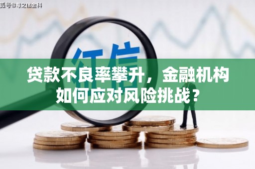 咸宁贷款不良率攀升，金融机构如何应对风险挑战？