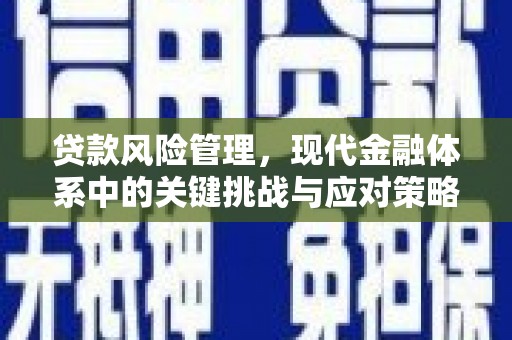 咸宁贷款风险管理，现代金融体系中的关键挑战与应对策略