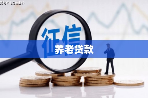 咸宁养老贷款